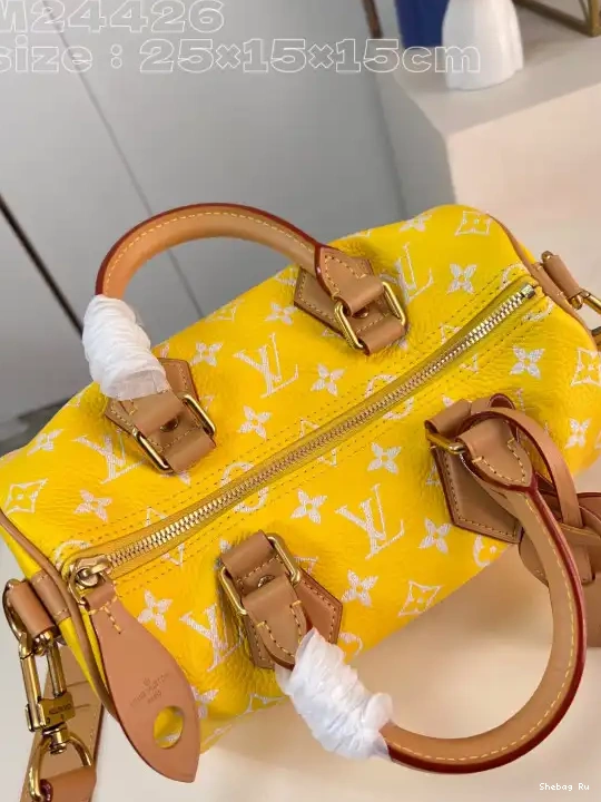 Louis Vuitton SPEEDY 25 0613